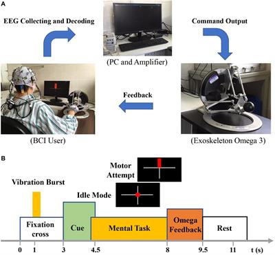 Longitudinal Electroencephalography Analysis in Subacute Stroke Patients During Intervention of Brain–Computer Interface With Exoskeleton Feedback